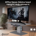 PROMATE Motorized Ergonomic Monitor & Laptop Stand with Built-In USB Hub (Raizer.UK)