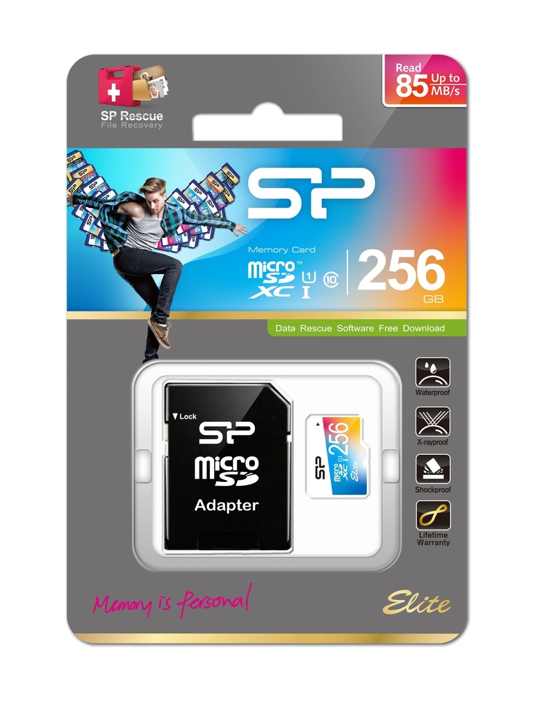 MicroSD SP 256Gb (SDXC)